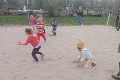 IMG_20241009_173527