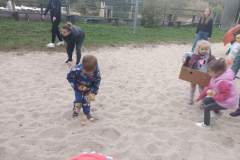IMG_20241009_173554