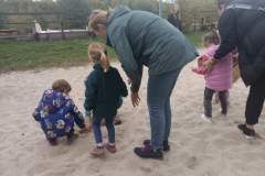 IMG_20241009_173558