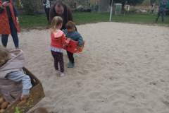 IMG_20241009_173604