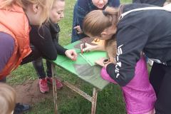 IMG_20241009_173918