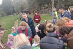 IMG_20241009_174717