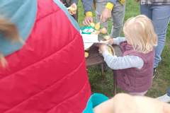 IMG_20241009_174747
