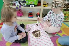 IMG_20240208_094243