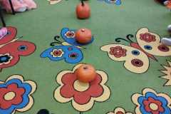 IMG-20231031-WA0020