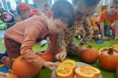 IMG_20231031_120723