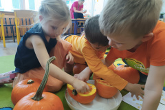 IMG_20231031_120902
