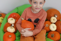 IMG_20241031_114513