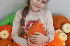 IMG_20241031_115209