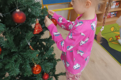 IMG_20241205_122929