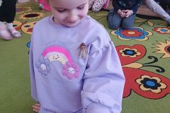 IMG_20250217_094040