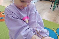 IMG_20250217_095544