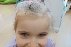 IMG_20250217_100859