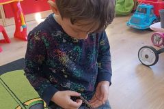IMG_20250217_101218
