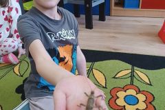 IMG_20250217_101317