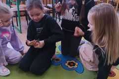 IMG_20250217_101413