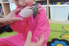 IMG_20250217_101603