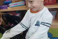 IMG_20250217_101942
