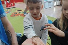 IMG_20250217_102225