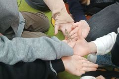 IMG_20250217_102318