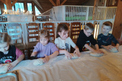 IMG_20240209_113733