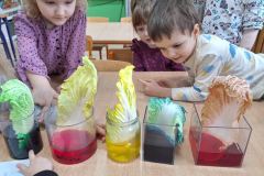 IMG-20240226-WA0098