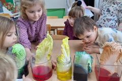IMG-20240226-WA0099