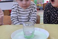IMG-20240226-WA0111