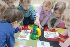 IMG_20240219_091953