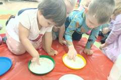 IMG_20240219_095241