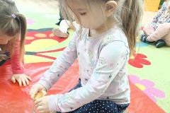 IMG_20240220_093759