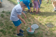 IMG_20250626_100744303