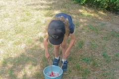 IMG_20250626_100847876