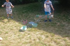 IMG_20250626_101558737