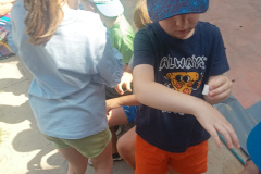IMG_20250626_101637670