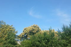 IMG_20250626_101655948