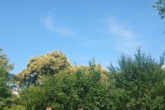 IMG_20250626_101656750