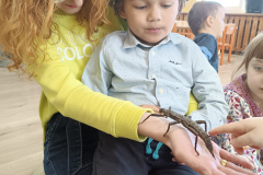IMG_20250318_101520