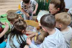 IMG-20250523-WA0031
