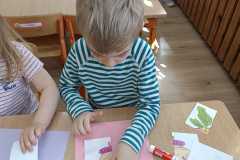 IMG_20250410_105021