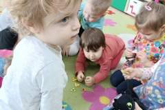 IMG_20240223_095815