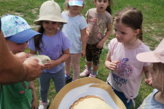 IMG_20240605_112959202