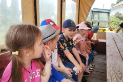IMG_20240605_120112424