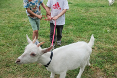 IMG_20240605_124426545