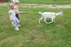 IMG_20240605_124436068