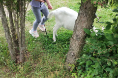 IMG_20240605_124559679