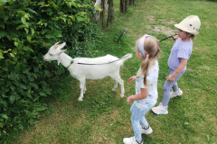 IMG_20240605_124647215