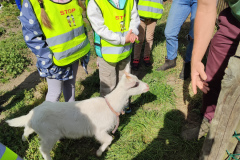 IMG_20240508_095538
