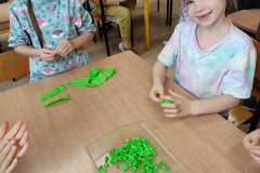 IMG_20231107_115515