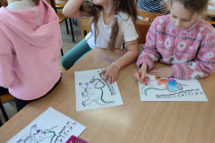 IMG_20240226_093732